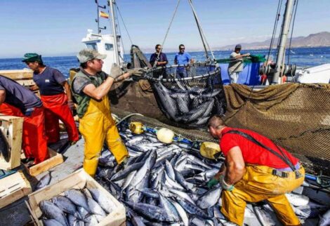 El desembarque pesquero en Perú crece más de 16 en setiembre Europa Azul