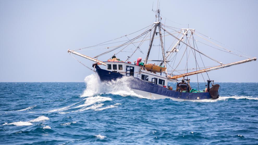 Parlamento Europeo votó para prohibir las redes de pesca eléctricas