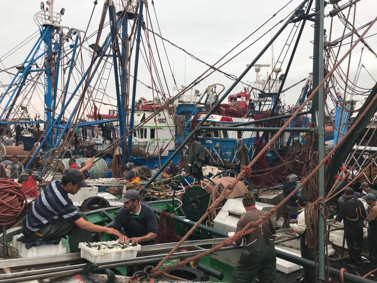 el-sector-pesquero-apela-a-la-ue-para-que-vele-por-los-intereses-de-la