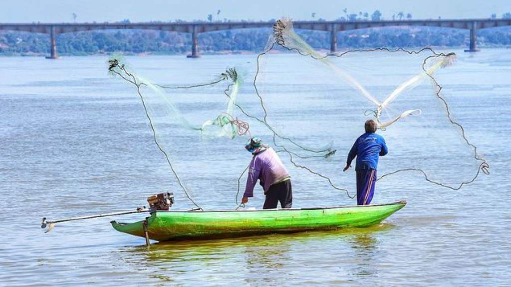 La FAO dará prioridad a la pesca artesanal - Europa Azul