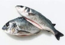 La lubina encadena subidas en Mercamadrid y la dorada empieza a repuntar en 2026