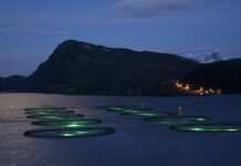 El “factor territorio” frena a la acuicultura europea: cuando el reto no es el pez, sino el espacio