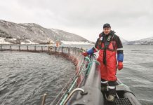 Noruega ofrece una “recompensa” millonaria para desvelar el misterio de la vitamina D en el salmón de cultivo